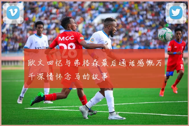 欧文回忆与弗格森最后通话感慨万千深情怀念马的故事